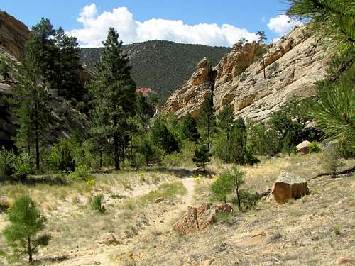 Last bend of the canyon