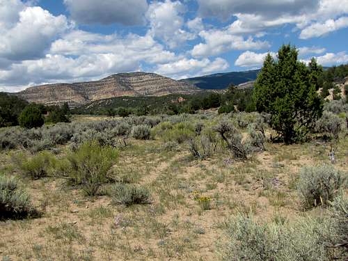 Near lower trailhead