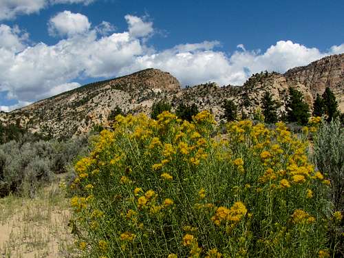 Lower trailhead