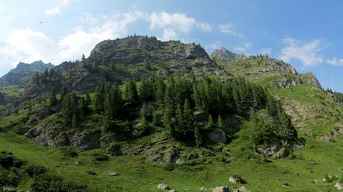 Morara from Valea Cerbului