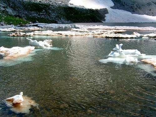 Solution of glaciers in...