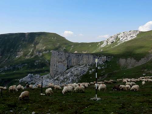 Typical Romanian Carpathian picture