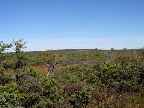 White Hill, Nova Scotia High Point
