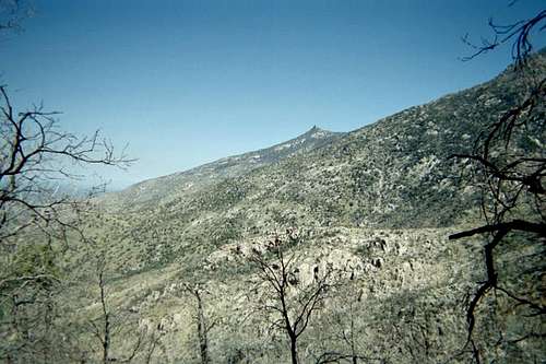 A view of Samaniego Peak.