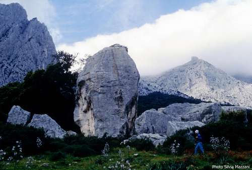 Cusidore - The huge boulder of Pedra 'e Littu