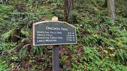 The Oneonta Gorge Hike to Triple Falls 2