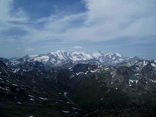 The Bernina group (again) seen from the summit of Piz Cocian