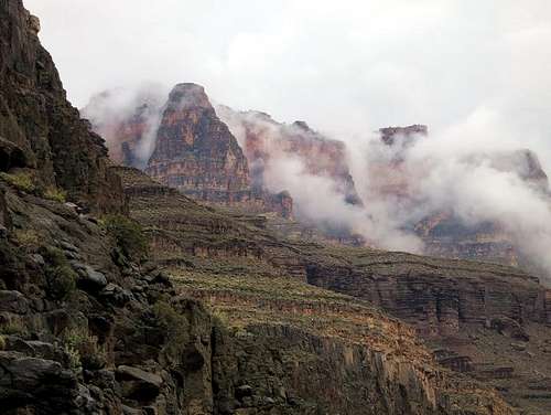 Foggy morning, Tapeats Creek, Grand Canyon