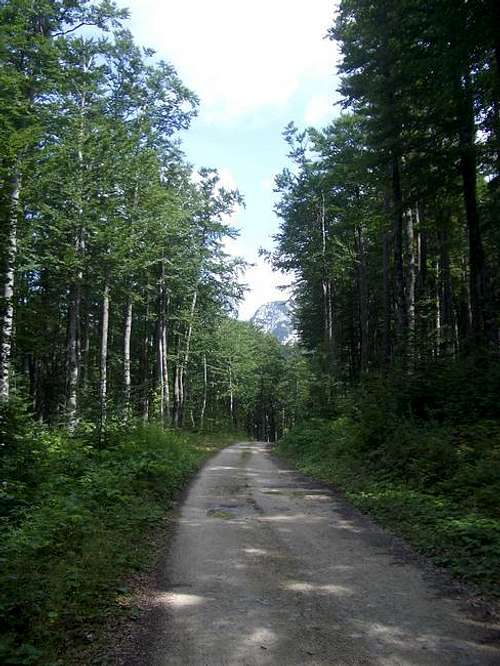 Road to Šatorsko lake...