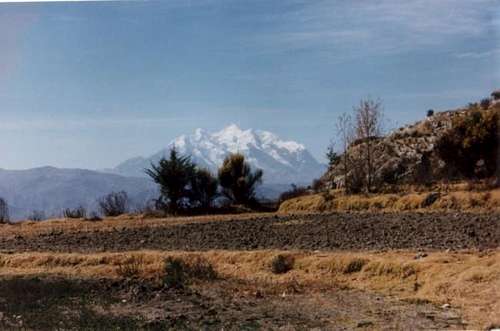 Illimani from the plains,...