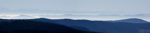 Black forest and the Bernese Alps