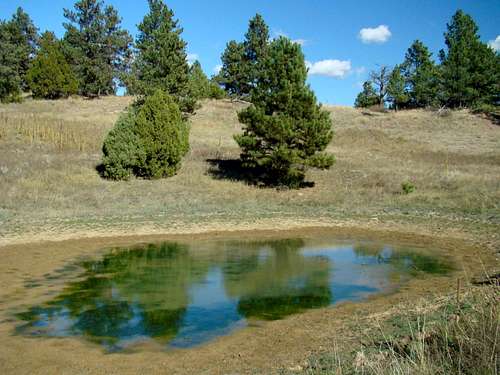 Maverick Mountain Pond