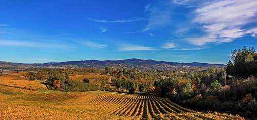 Autumn colors on the vineyards
