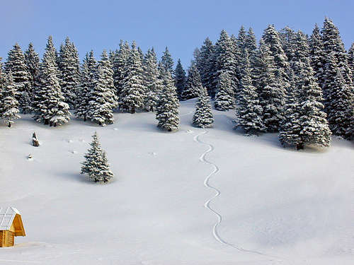 A lonely skier on Javornik....