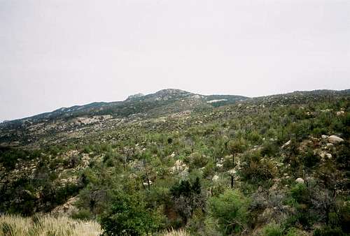 The Douglas Springs Trail