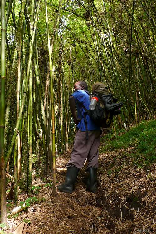 Guide in the bamboo zone