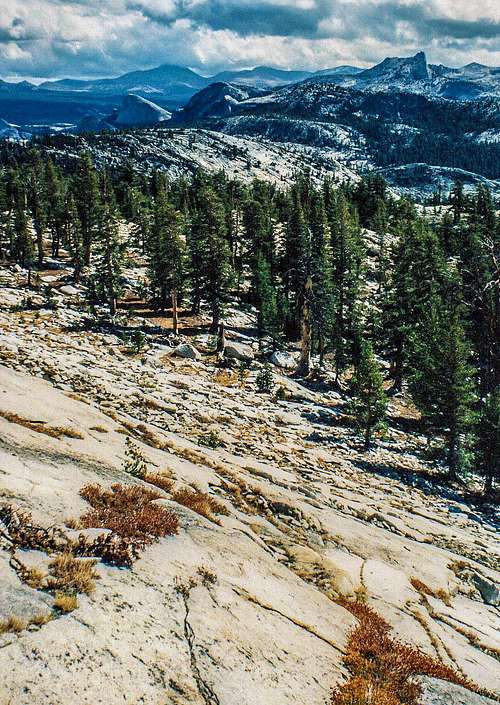 Tuolumne view