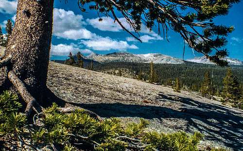 On Pot Hole Dome