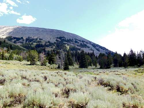 upper Robb Creek