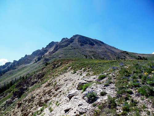 Sawtooth Mountain, western end