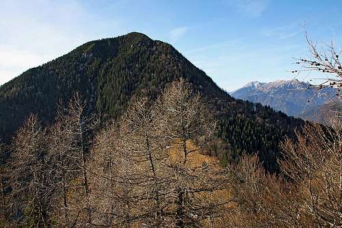 Tolsti vrh from Grebenc