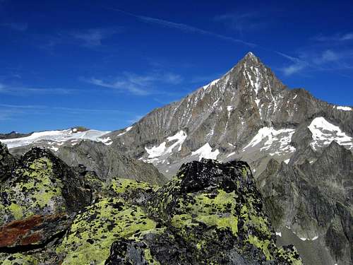 Superb Bietschorn seen from the summit of Wiwannihorn