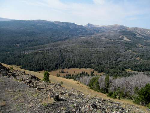 southern gallatins from trail