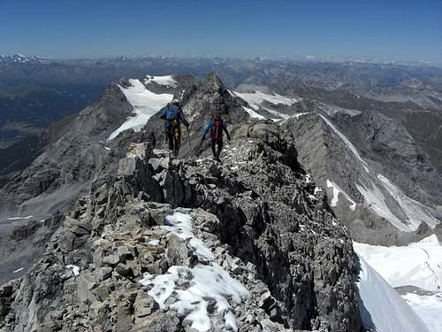 Monte Zebru Normal Route