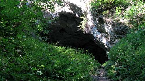 Bear's cave
