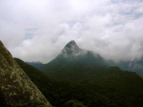 Pico da Tijuca from...