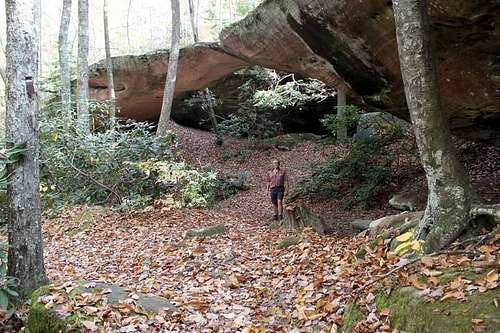 Arch at Pickett State Park