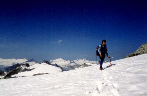 On Presanella summit ridge