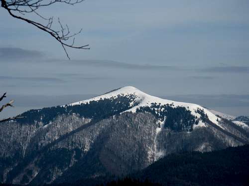 Borišov peak in winter (1509 m)