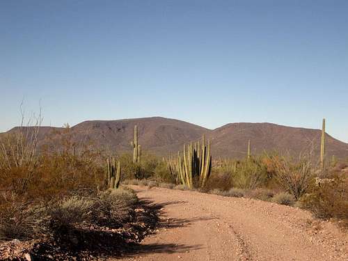 Guadu BM (Cipriano Hills - Organ Pipe Cactus National Monument)