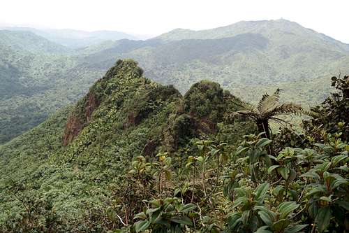 Las Picachos from El Yunque Trail