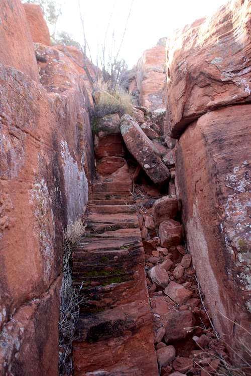 Escalator Route
