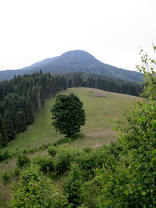 Klenovský Vepor summit (1338m)