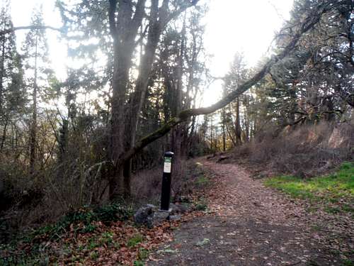 The trail to the summit area