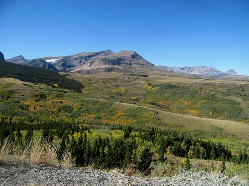 foliage near the eastern slopes of GNP