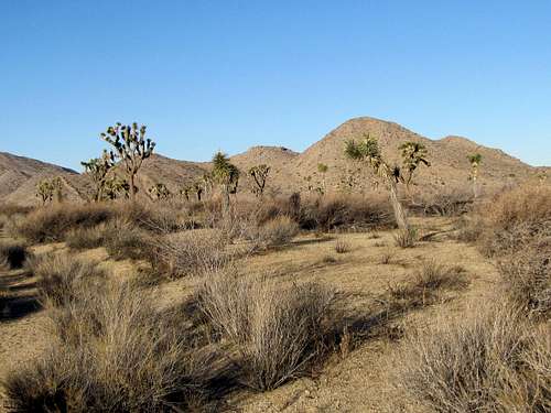 On Quail Springs Trail