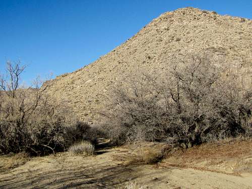 On Quail Springs Trail