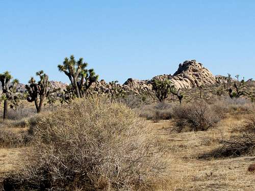 On Quail Springs Trail