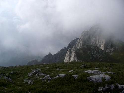 Area around summit of Maglic;...