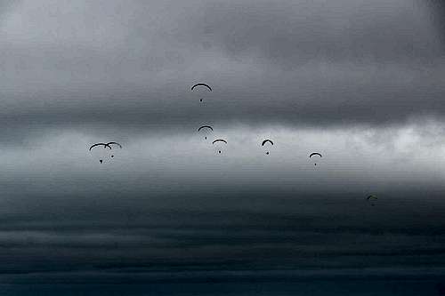 A herd of paragliders