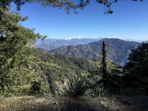 Mt. Baldy from Mt. Wilson Trail