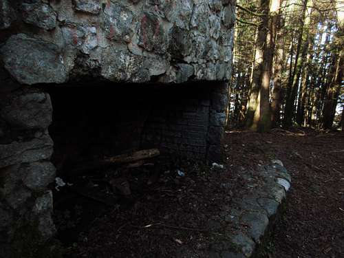 Bullitt Fireplace at Squak Mountain.