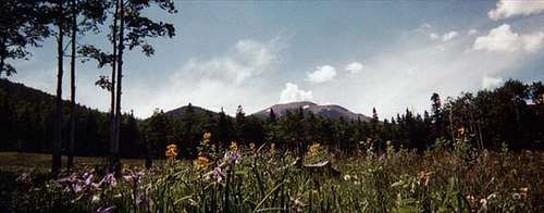 Baldy Mountain from...