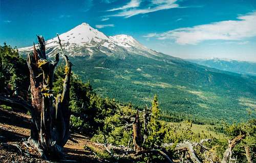 Shasta from The Whaleback