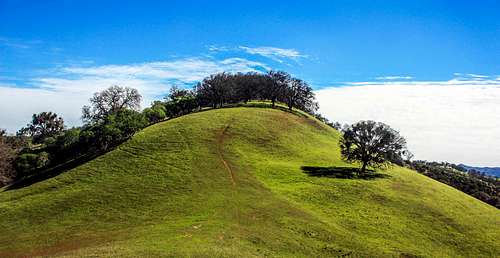 A Green Hill