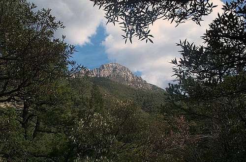 View of Mt. Wrightson from...